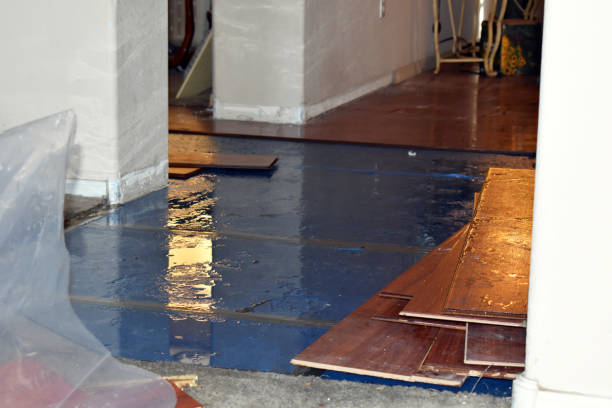 Professional Sewage Cleanup technician working in Potter, WI